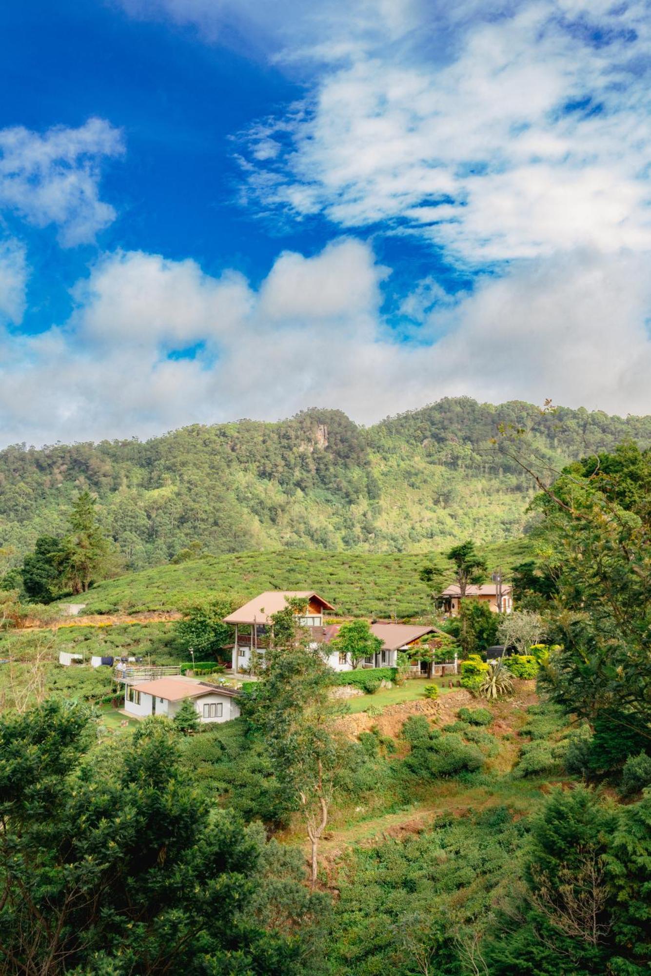 Hill Safari - Tea Estate Villa Ohiya Exterior foto