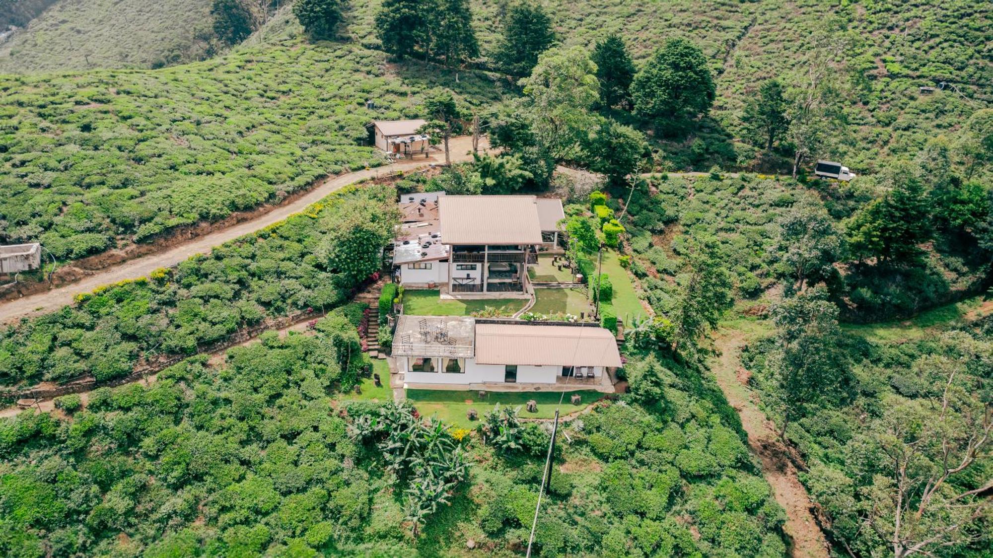 Hill Safari - Tea Estate Villa Ohiya Exterior foto